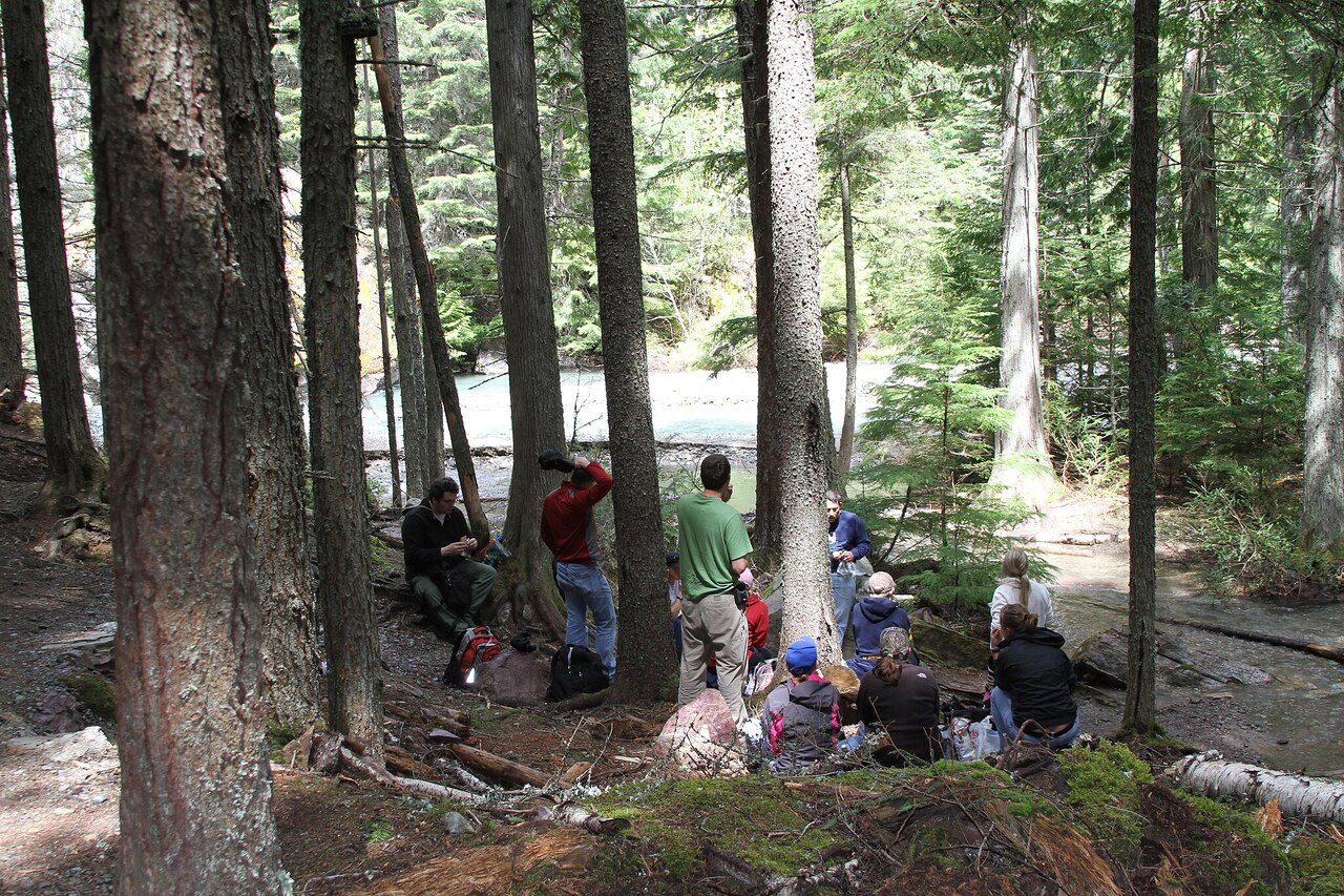 Wildlife and Wilderness Experience
