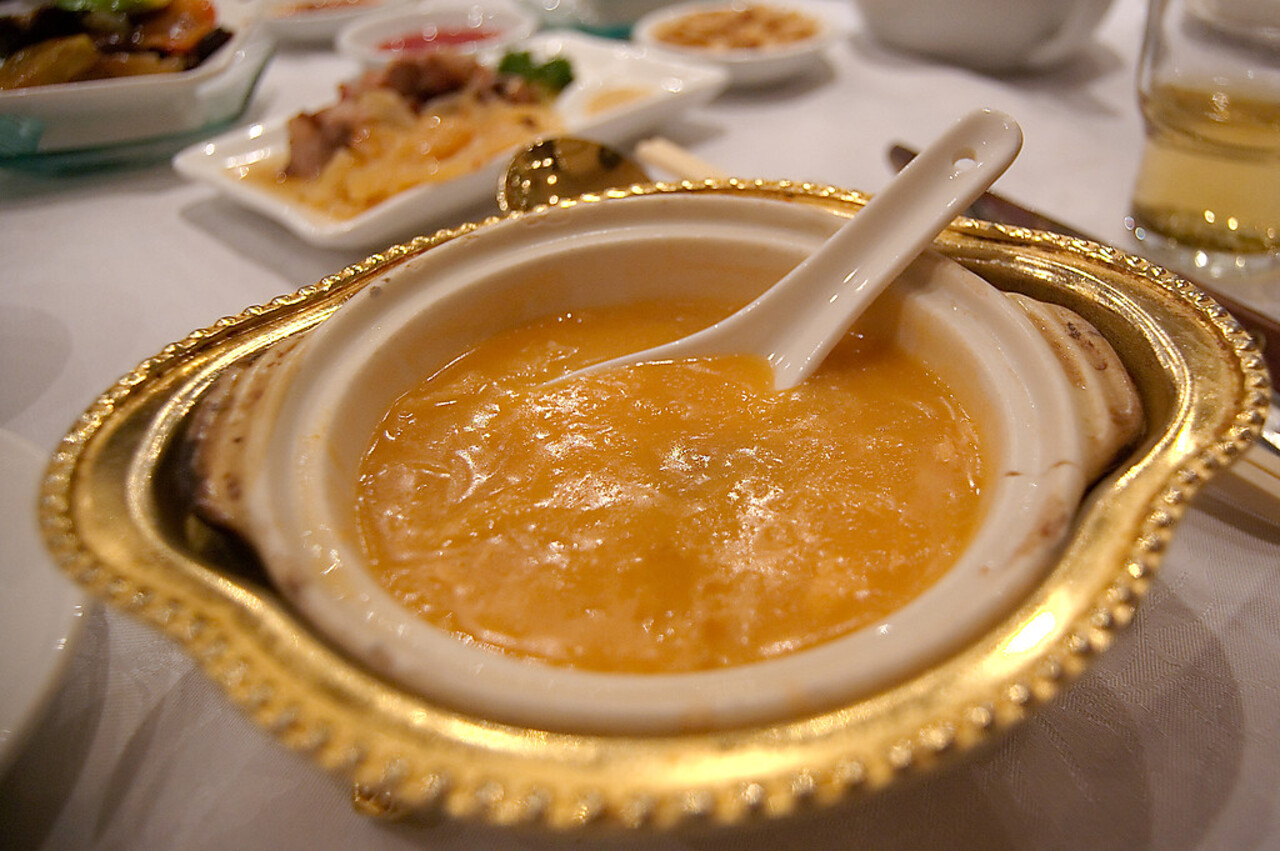 Shark Fin Soup