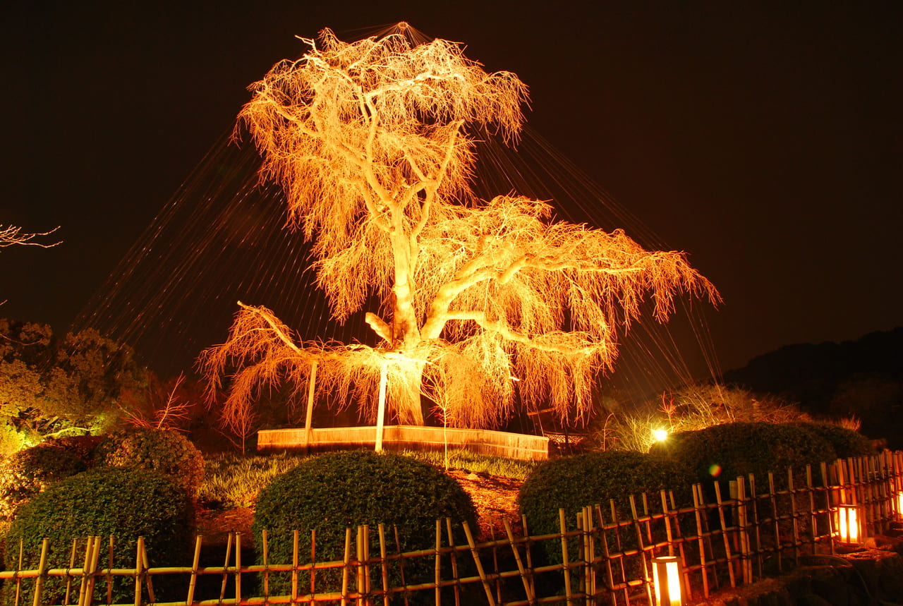 Kyoto’s Gion Restrictions Are Spreading, 9 Places Tourists Are Being Pushed Back From