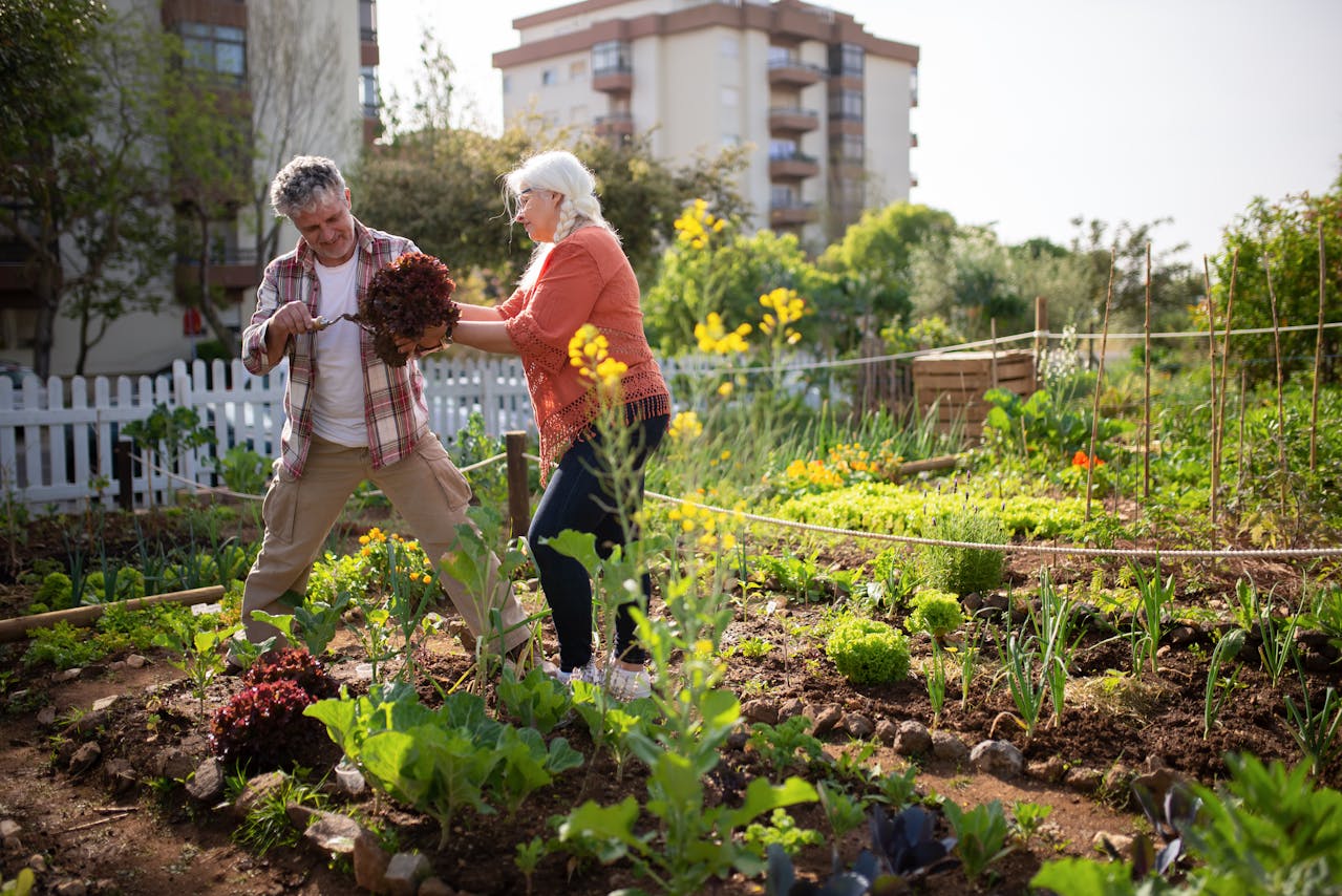 Front Yard Gardens That Break Landscaping Rules