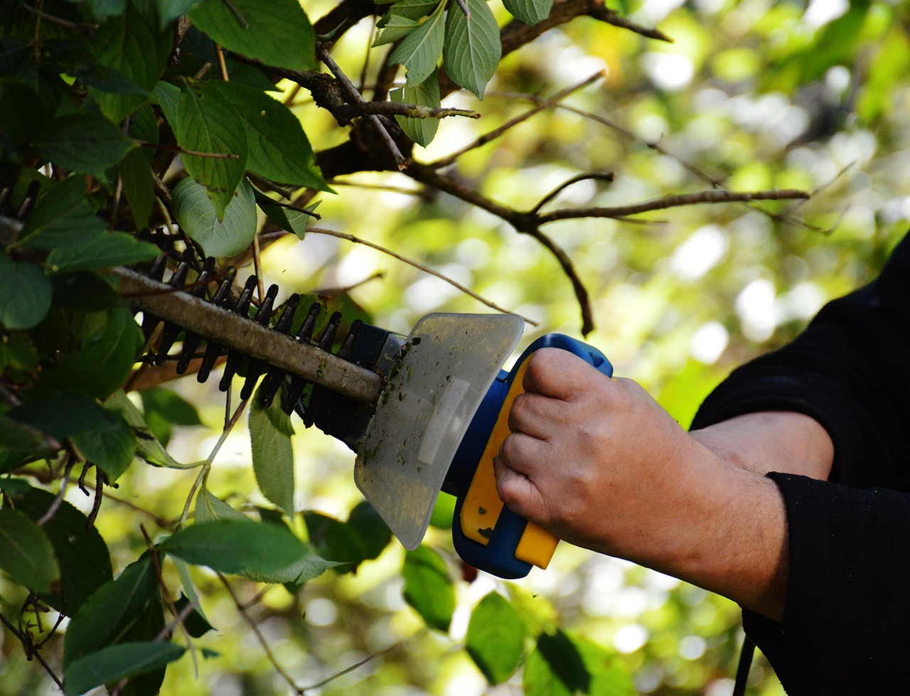 Hedge trimmers and brush cutters