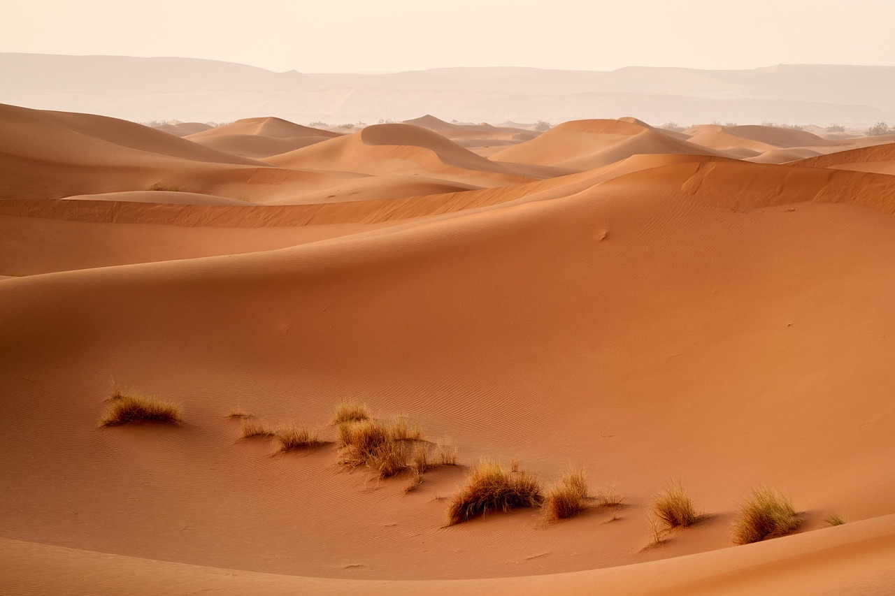 Sahara Desert