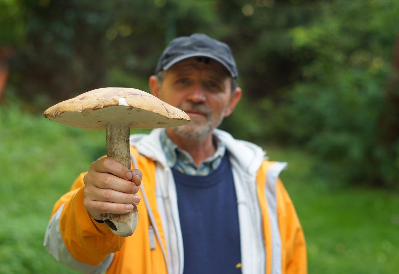 Foraging: Skills Fading in Modern Life