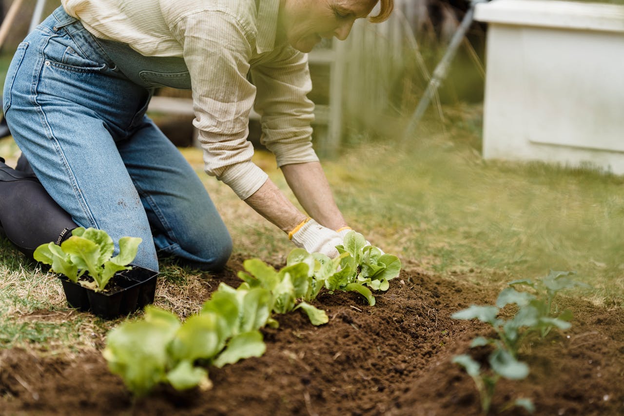 Gardening: Growing Connection to the Earth