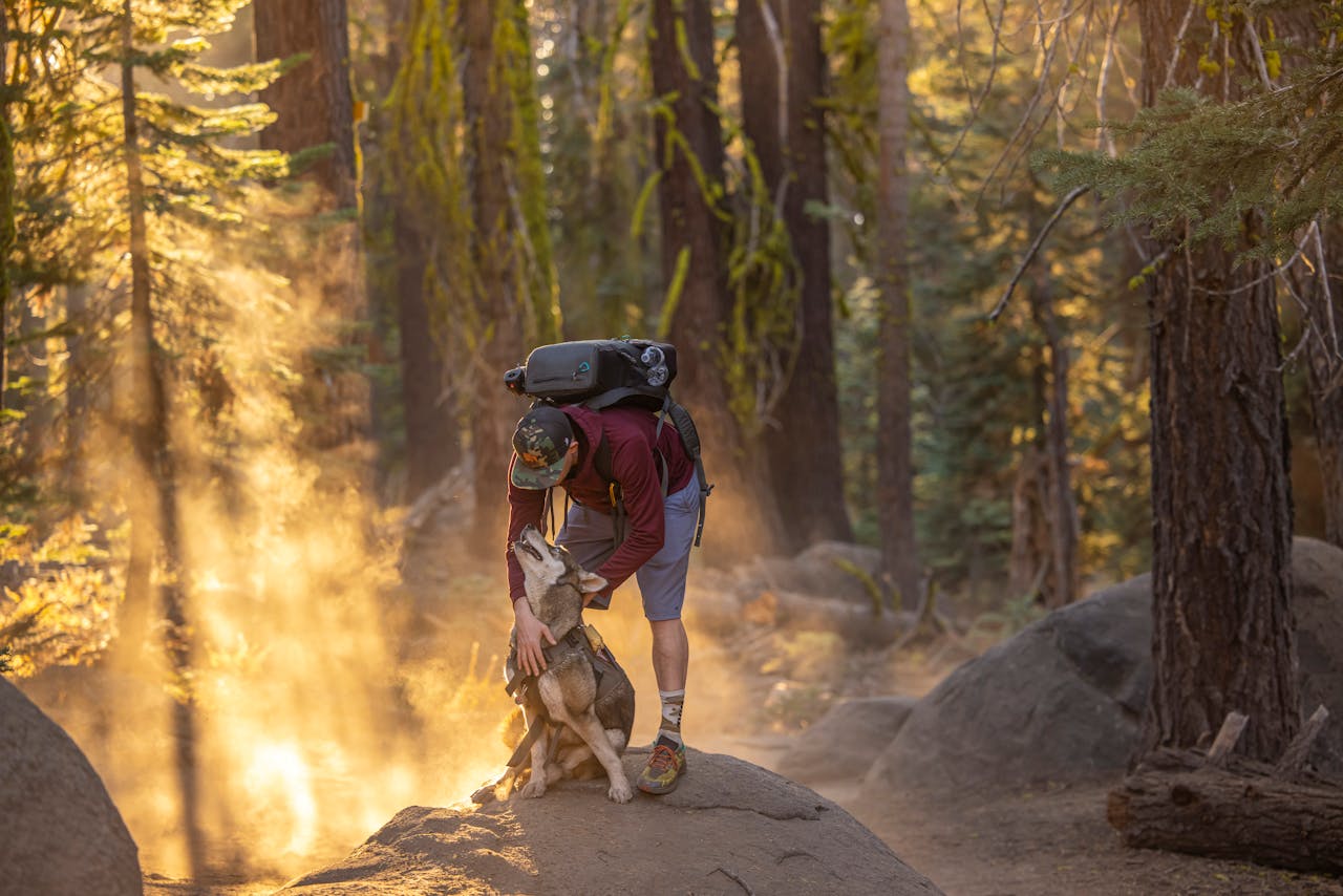 Hiking: Trails Are Emptying Out