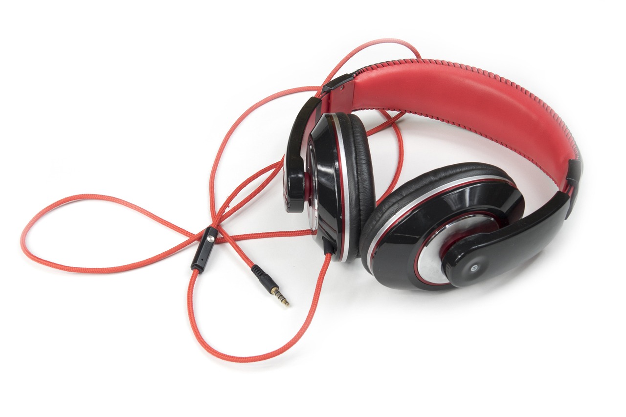 Wired Headphones