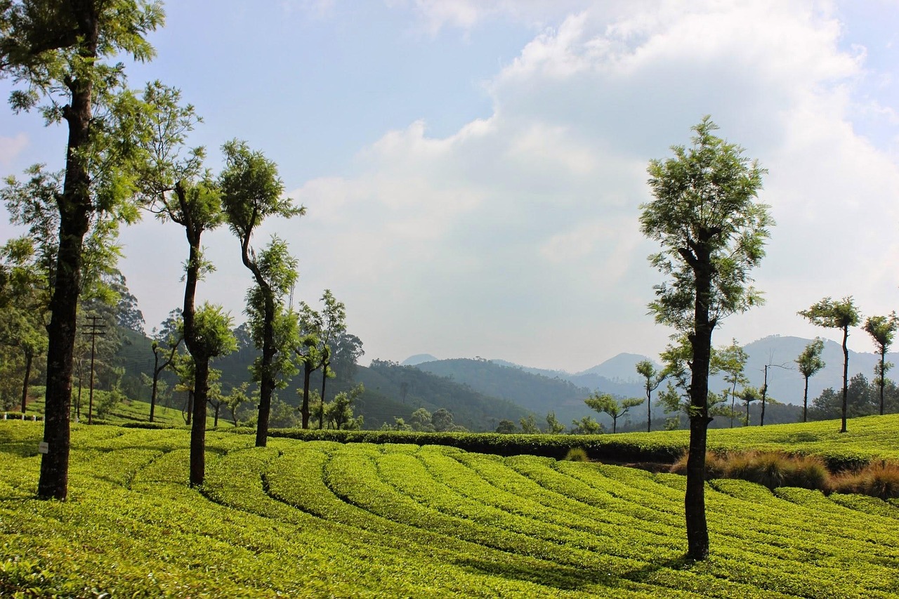 Jorhat, India
