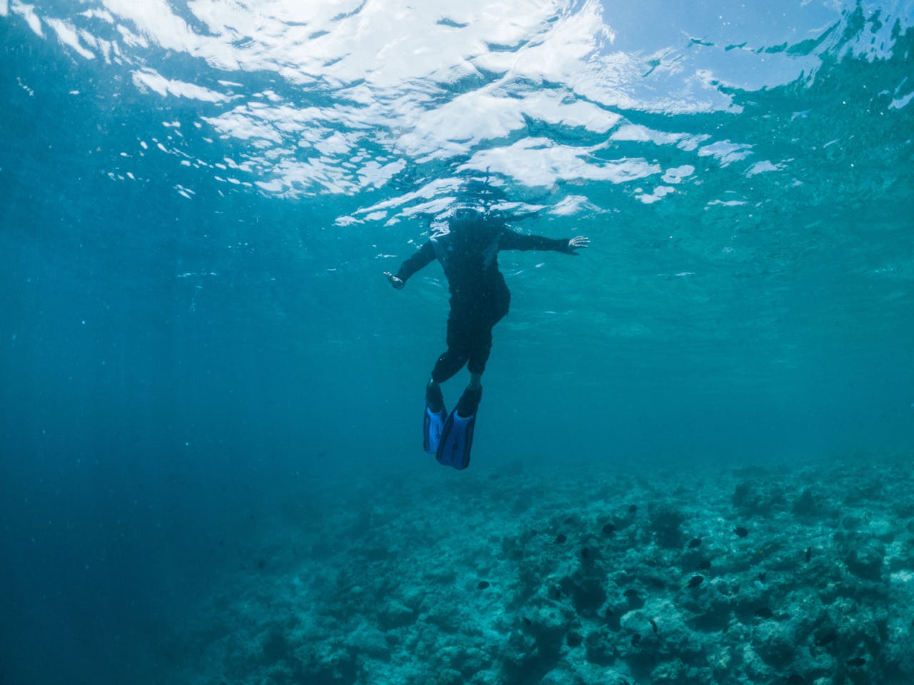 Diving Into the Blue Abyss of Dean’s Blue Hole, Bahamas