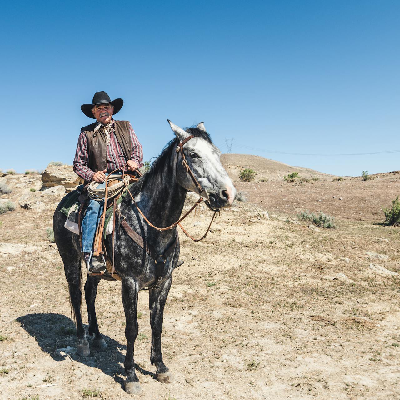 Go West, Young Man