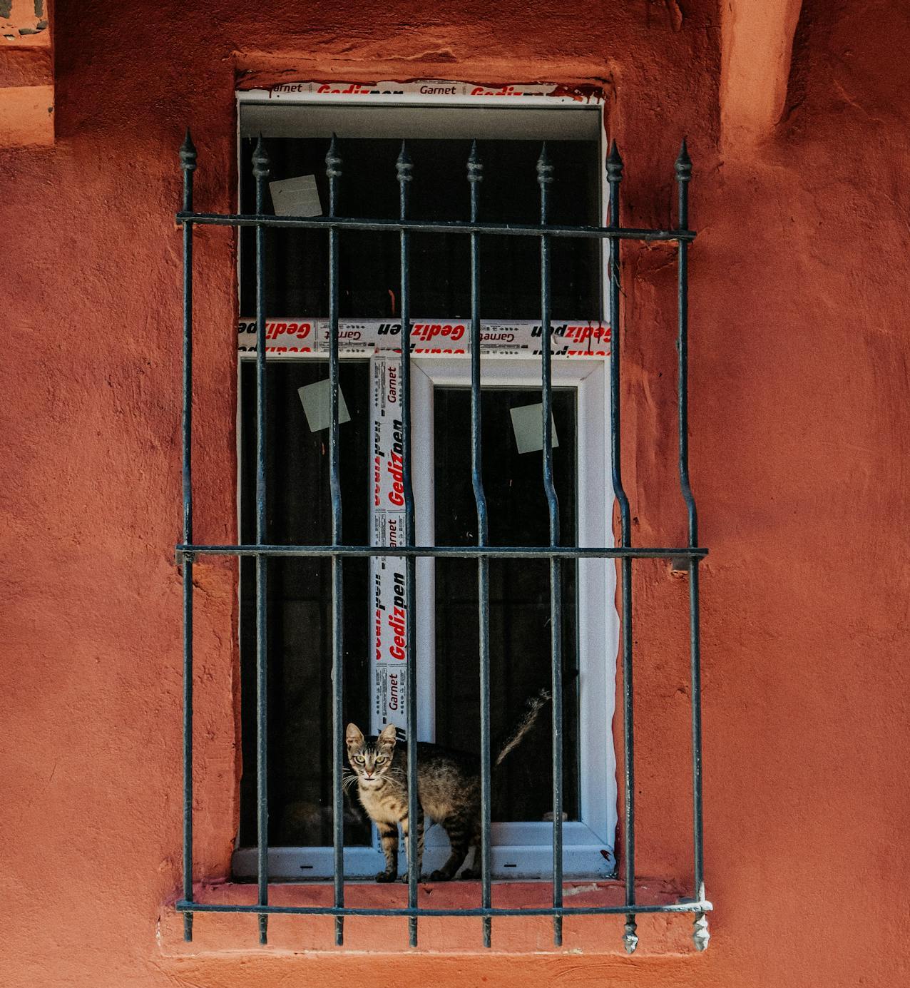 Mismatched or New-Looking Windows