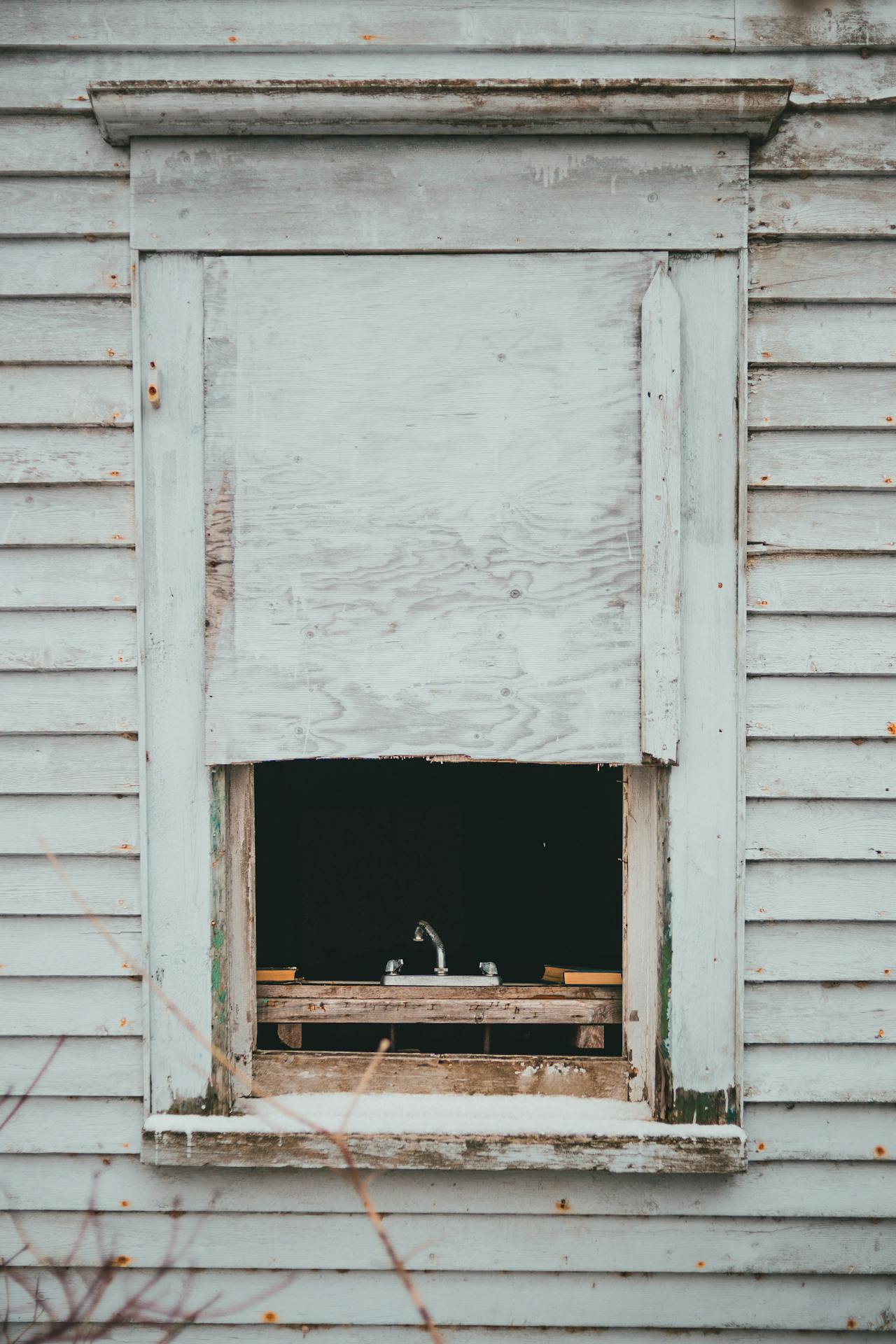 Pest and Termite Damage