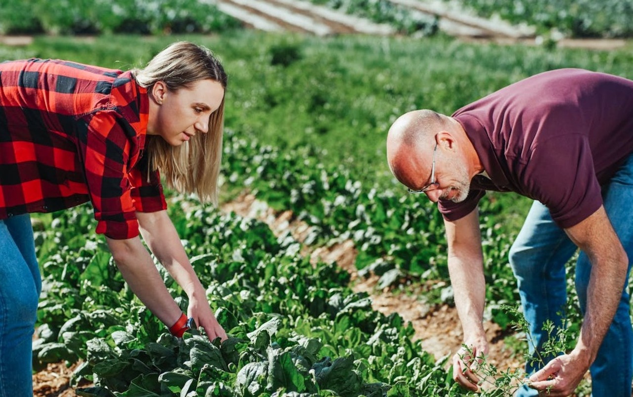 Improved community bonds and cooperation