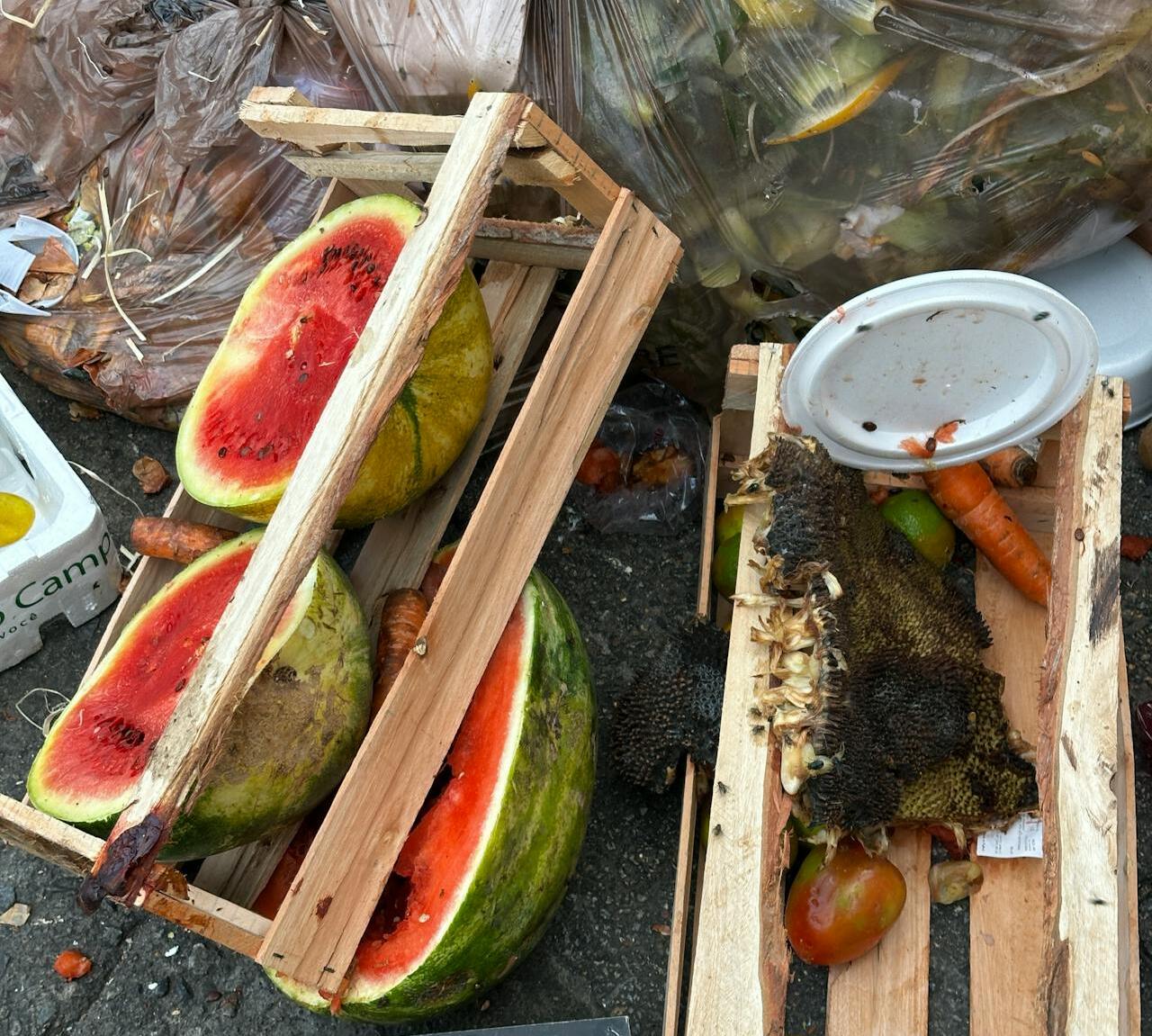 Food waste and grease