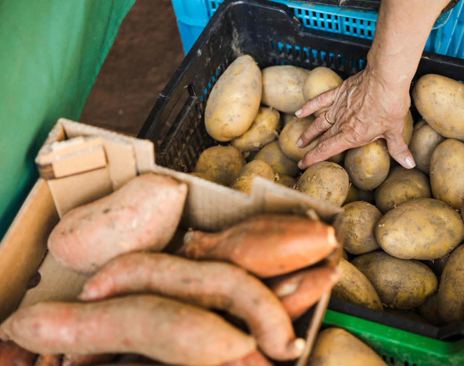 Choose Proper Ventilation Over Airtight Containers