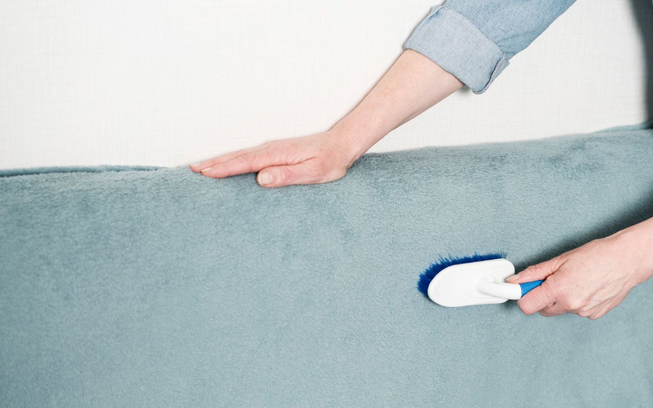 Scan for Lingering Pet Hair