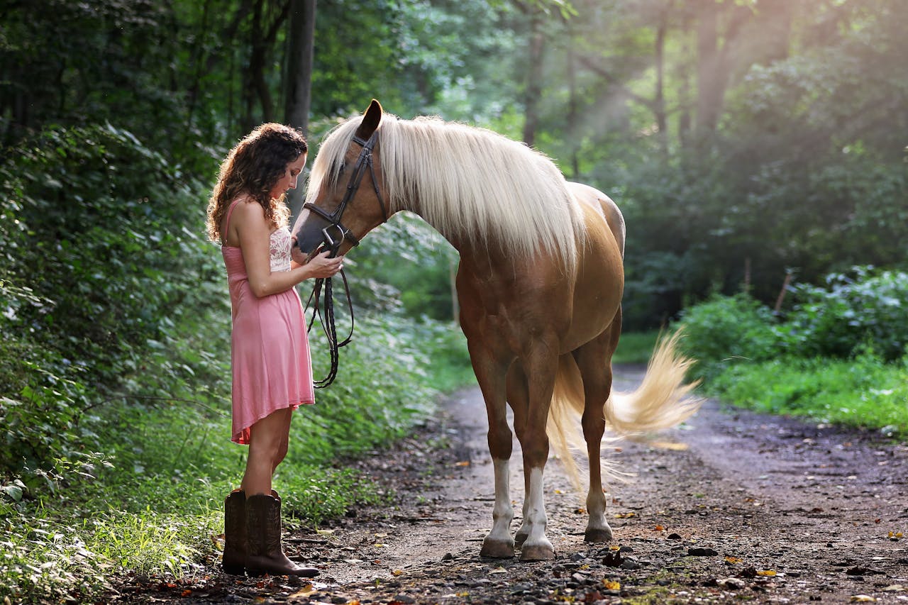 Calm human speaking softly while a horse stands relaxed in a stable
