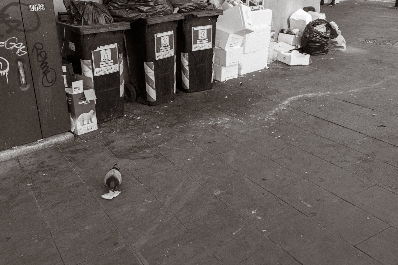 Casual Littering in Public Spaces