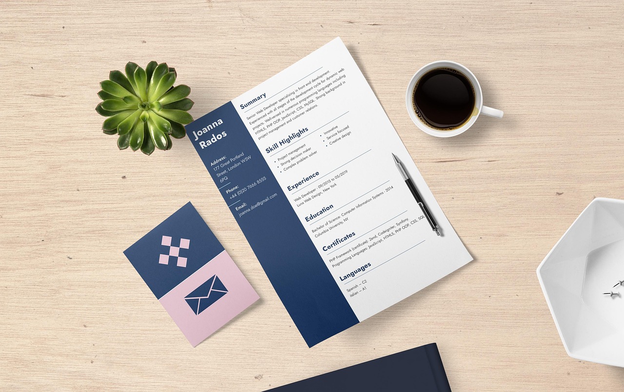 Resume (English) vs Résumé (French use in English)