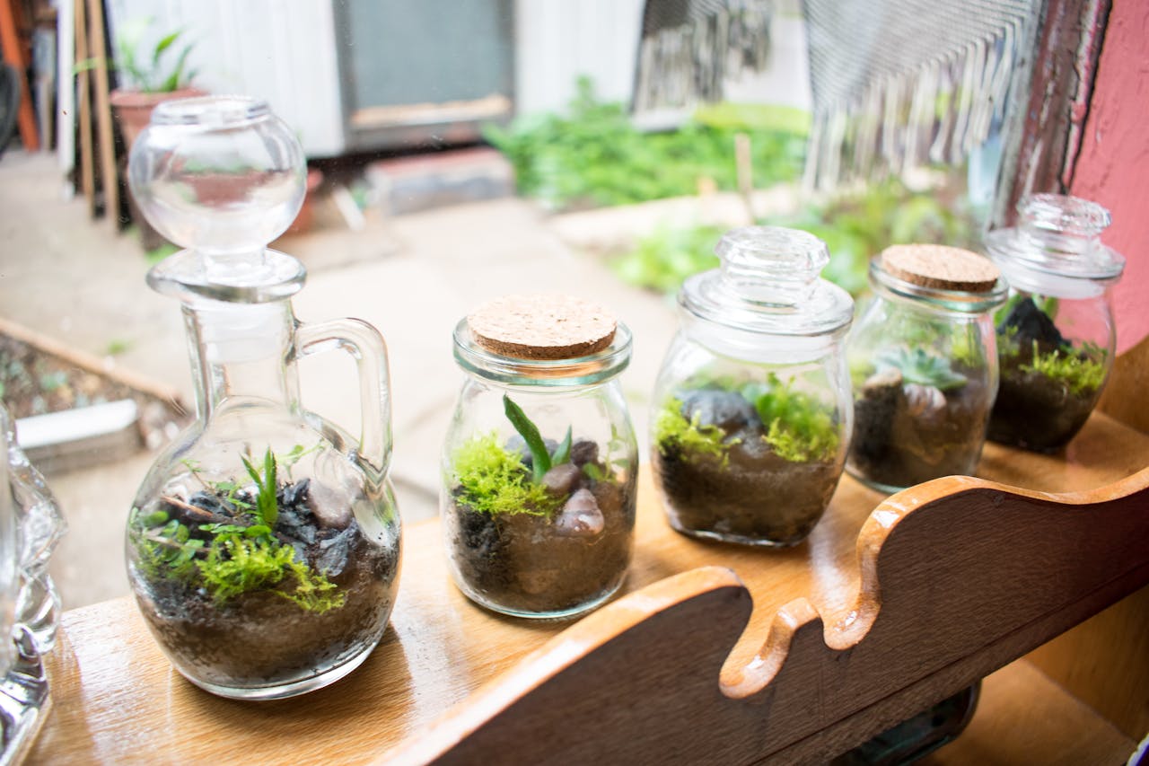 Use Jars for Pets, Plants, and Household Tasks
