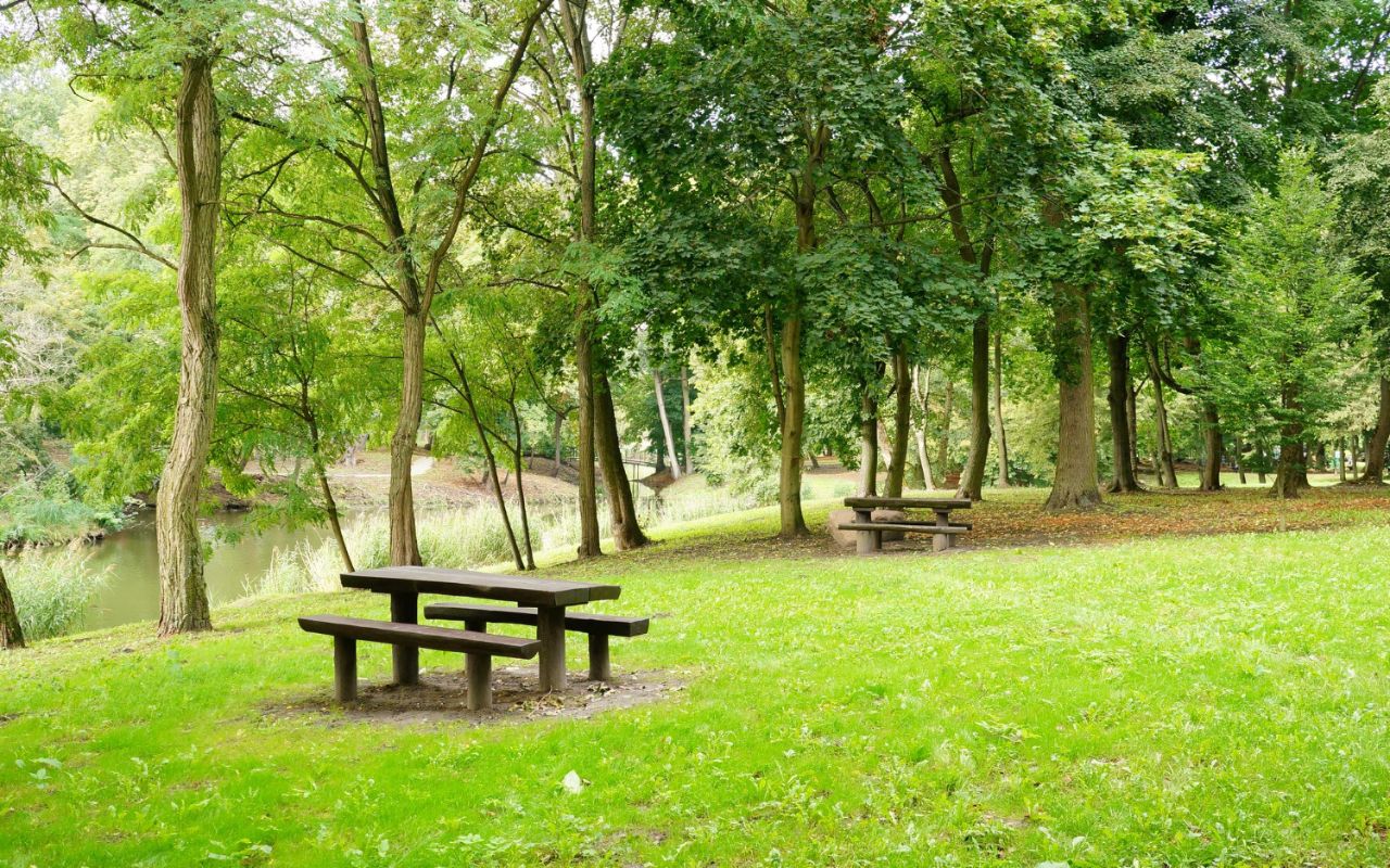 Park Everyone Passes but Rarely Explores