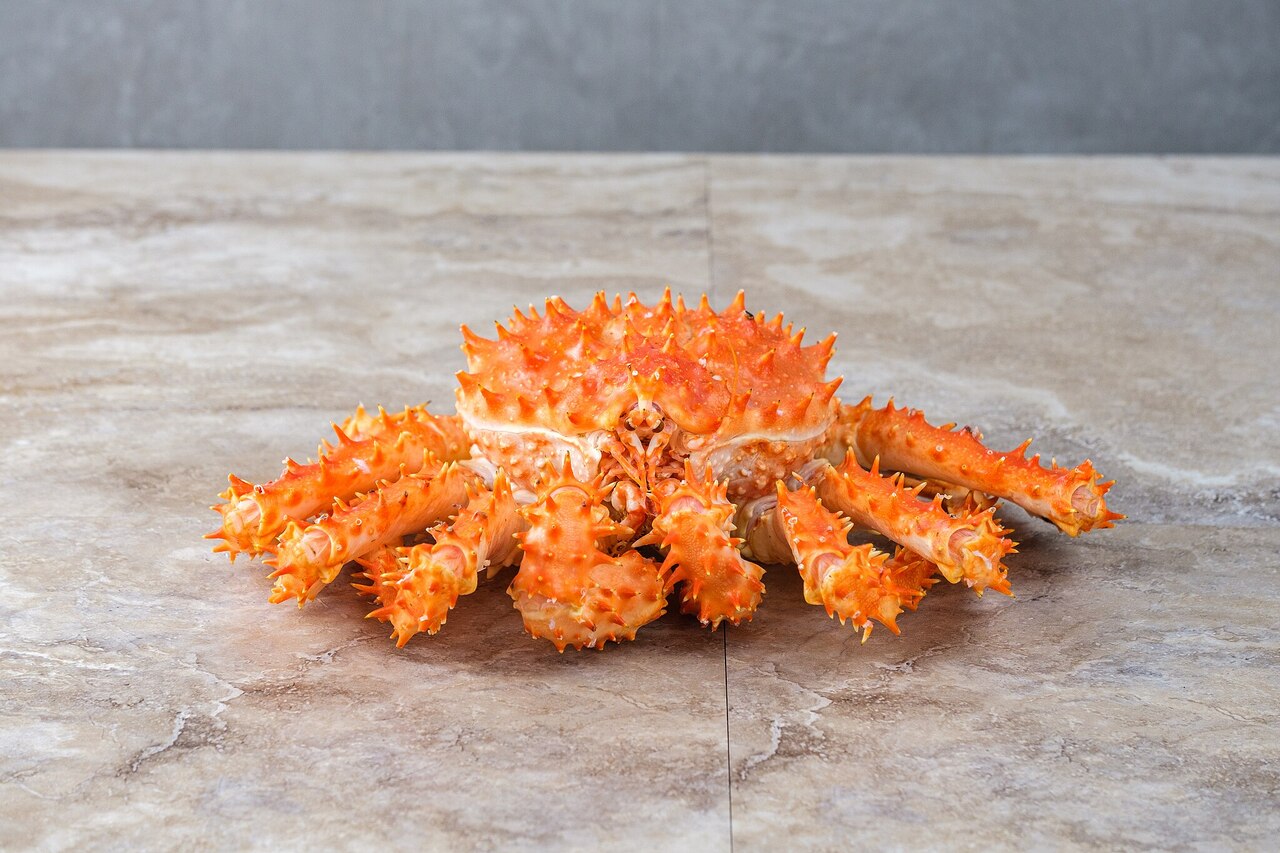 Alaska King Crab