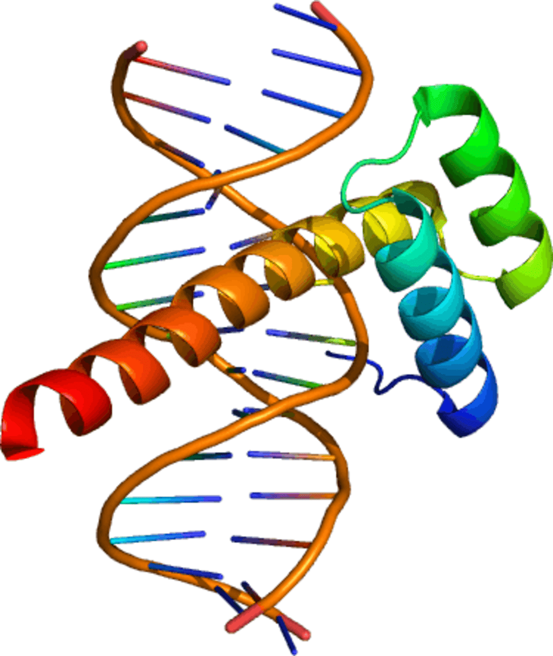 Proteins Alone Could Not Be Infectious