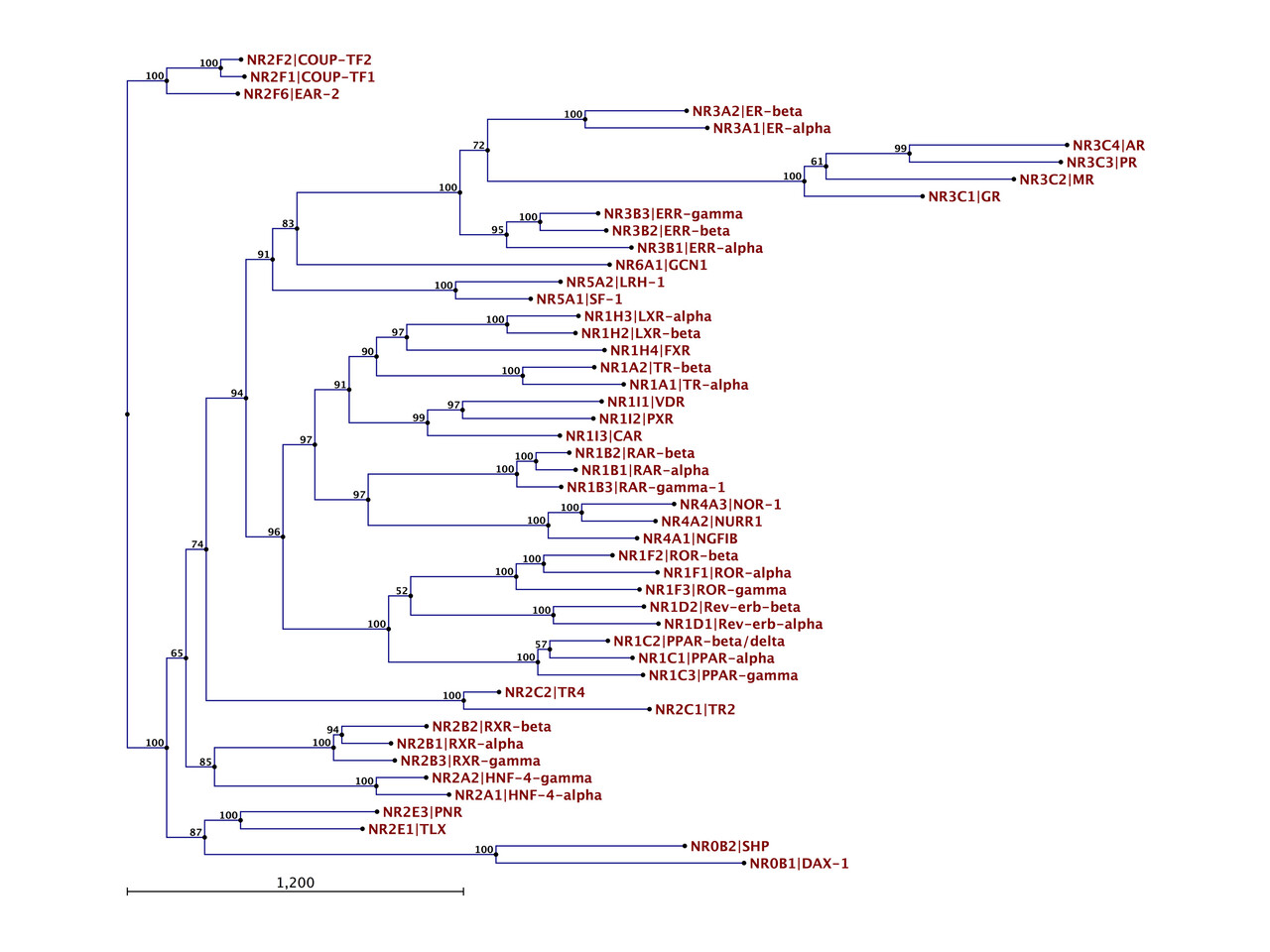 New Evidence From Ancient Proteins