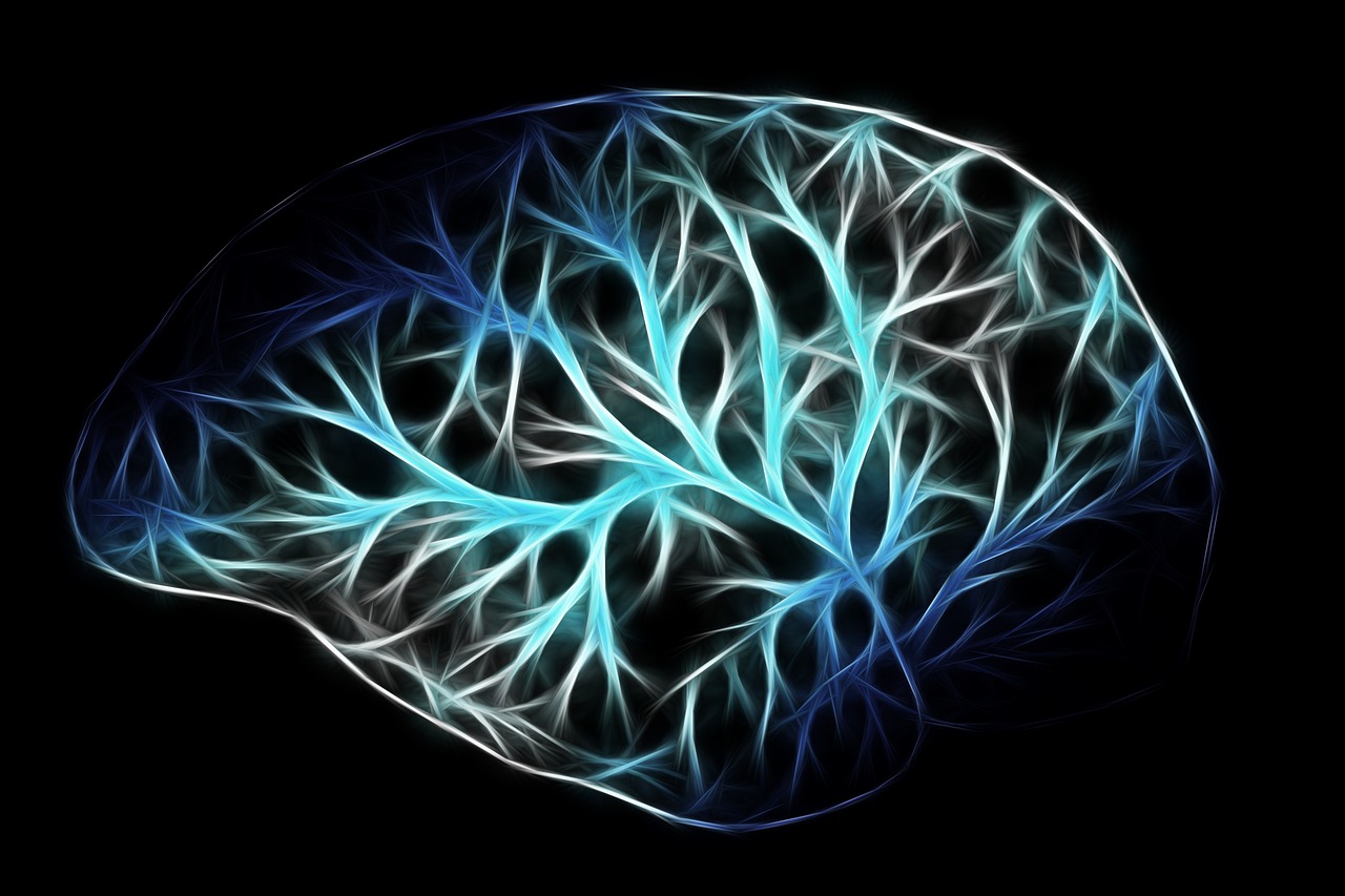 Brain Computer Interfaces Would Work