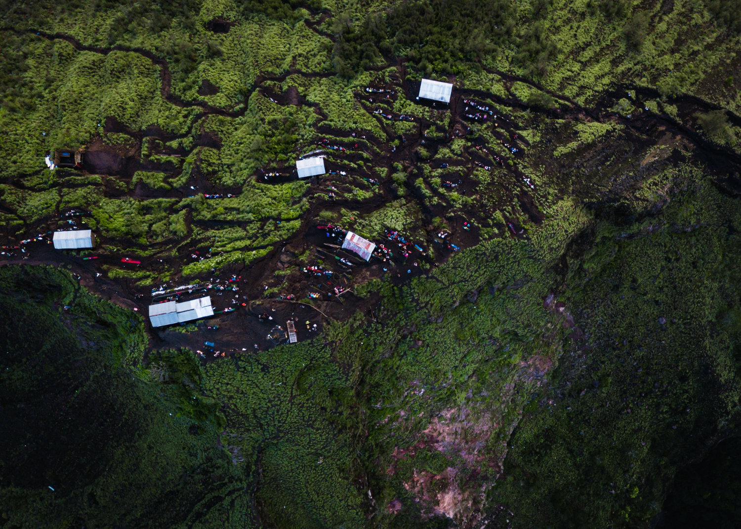 Technology Helps Track Hard-to-Reach Communities