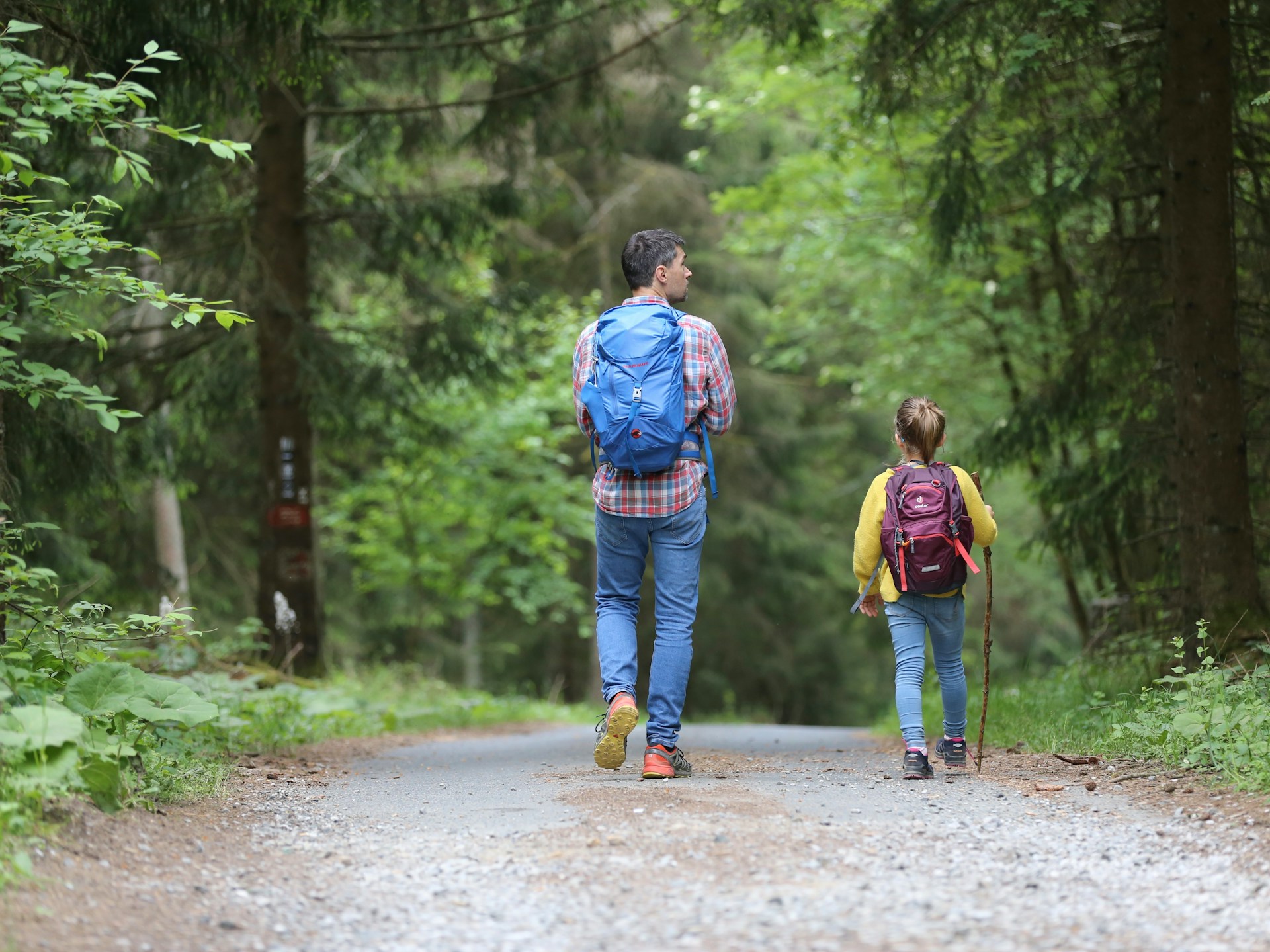 Multi-Age Hiking Trips With Hidden Safety Gaps