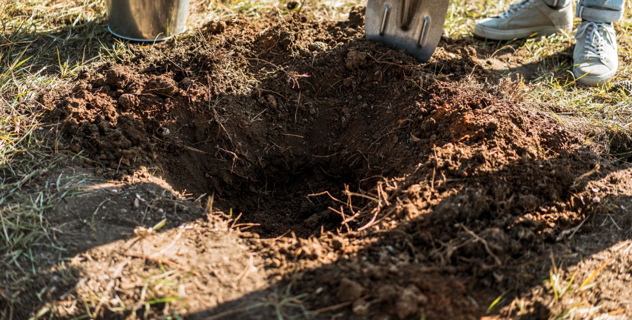 Experts Warn 10 Things That Should Never Go Into a Backyard Hole