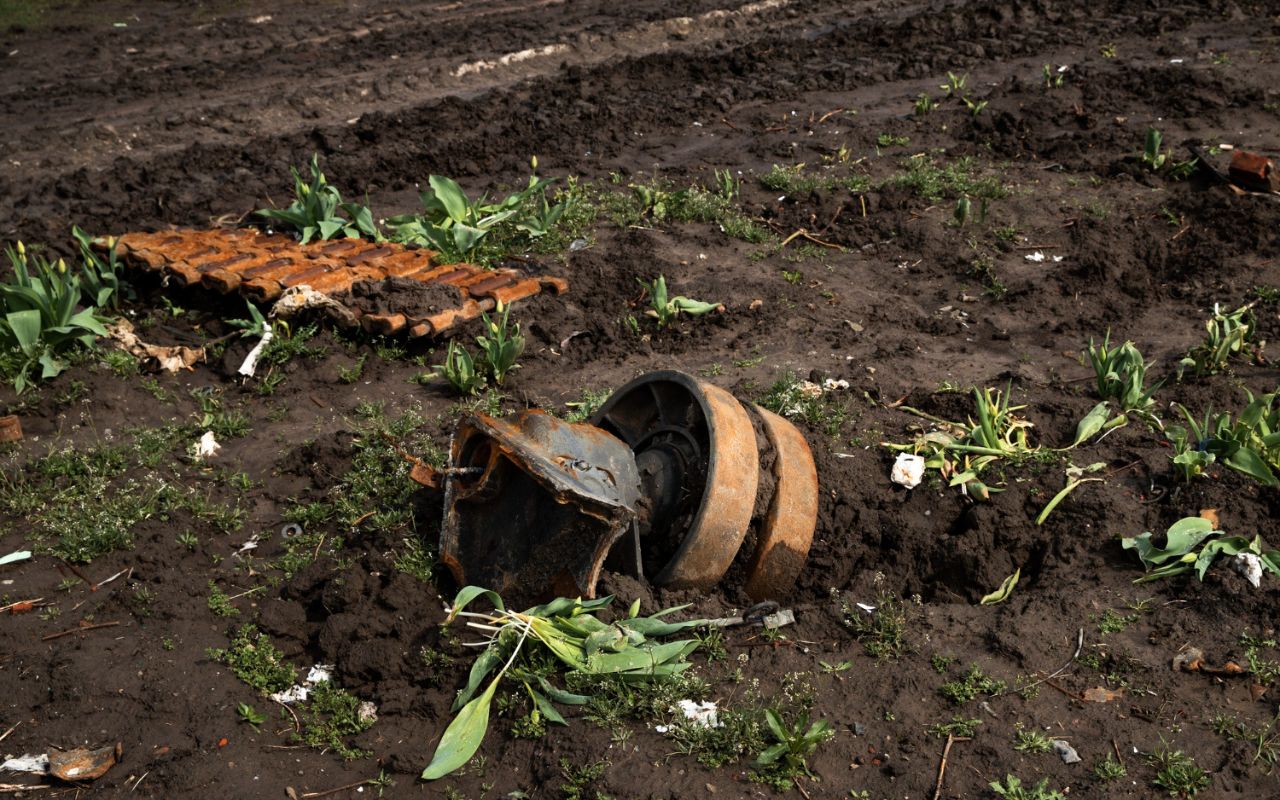 Invasive plants collected at a municipal green waste program to prevent regrowth and ecosystem damage