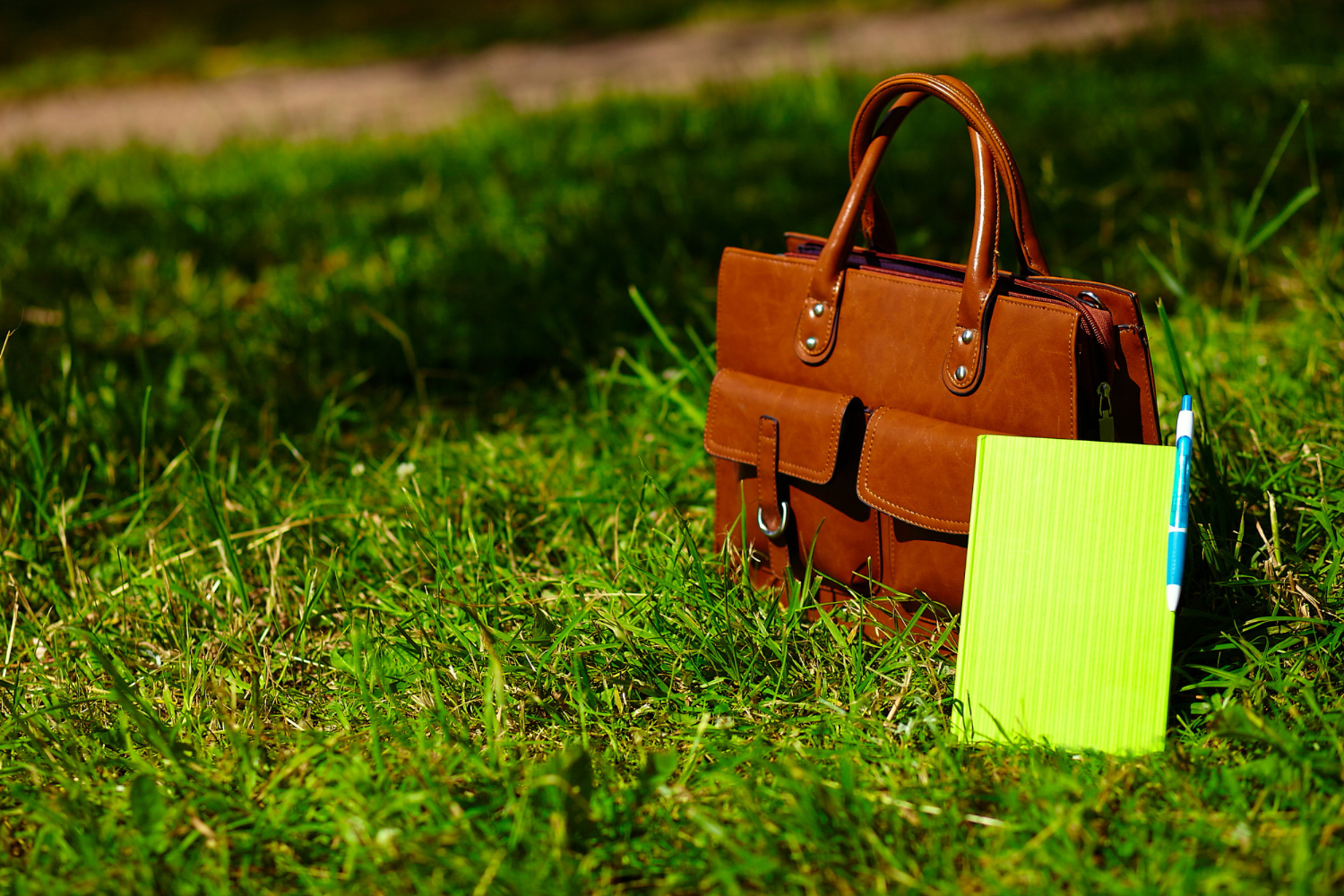 Wide-Brimmed Tote Bags With Multiple Compartments