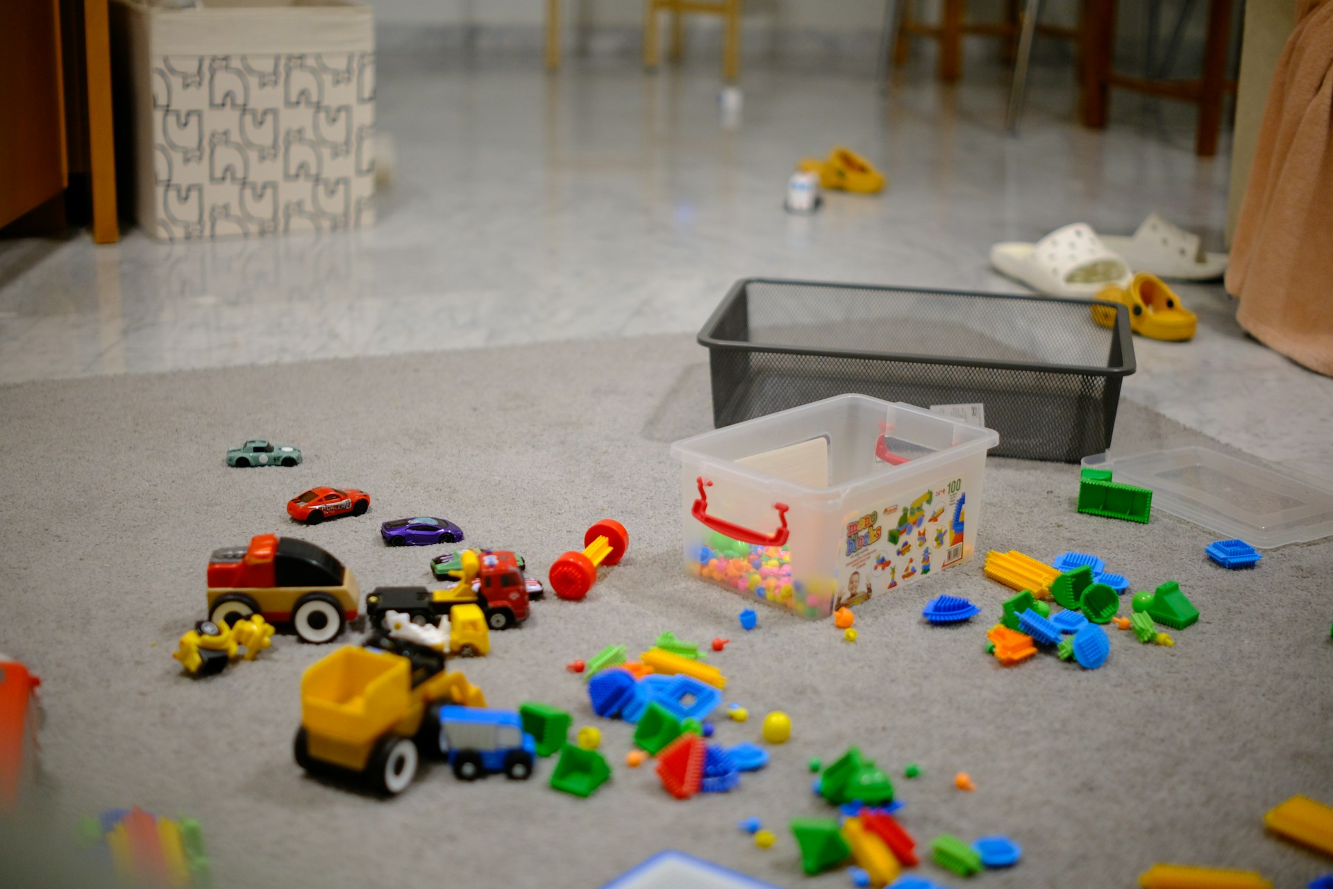 Pet Toys Scattered Across the Floor