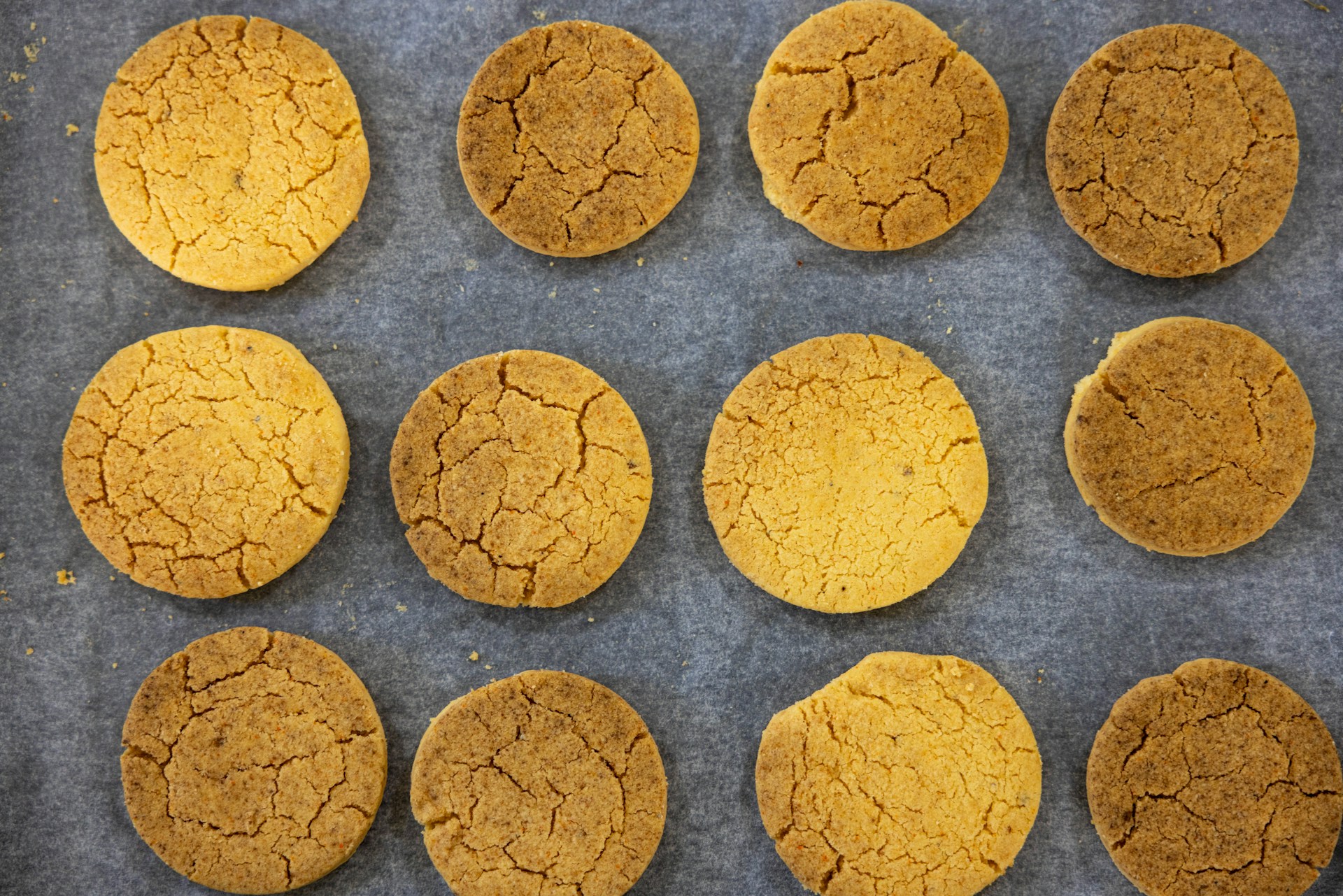 Snickerdoodle Sugar Cookie Bars