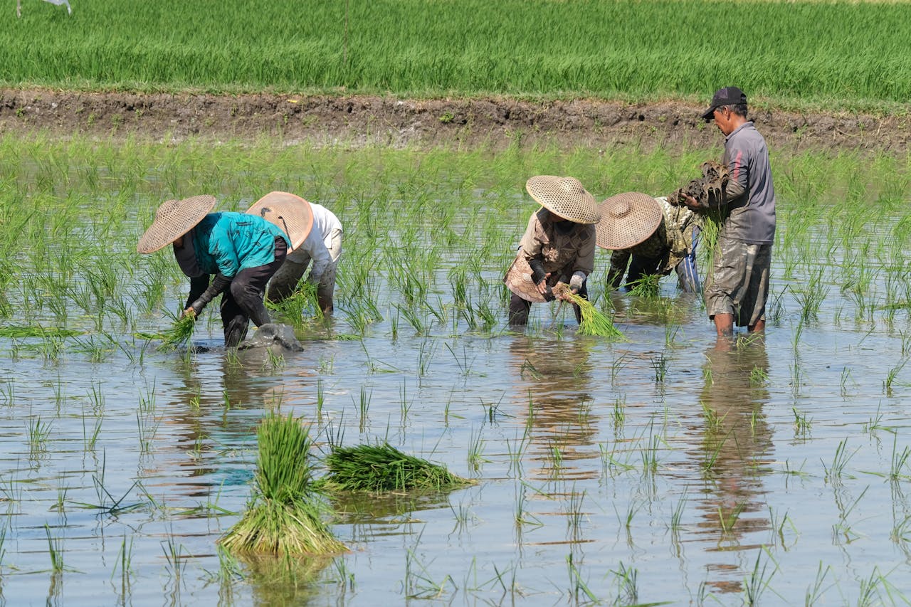 You respect agricultural work and property