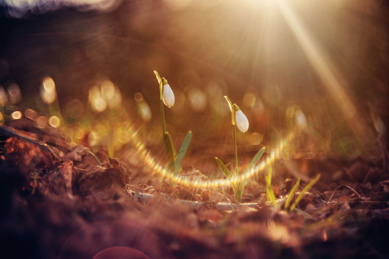Winter’s True End: The Spring Equinox