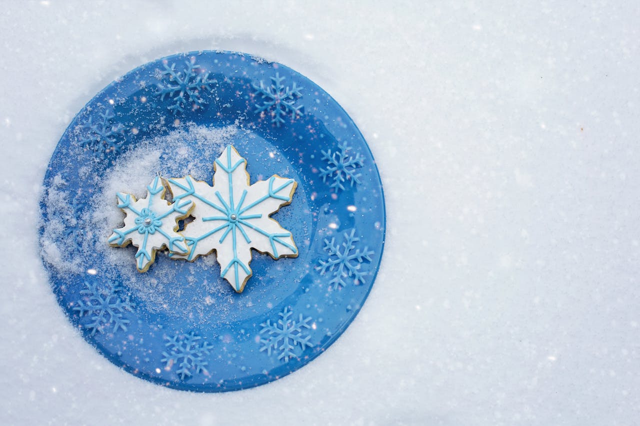 Snowflake Blue Oval Baking Dishes