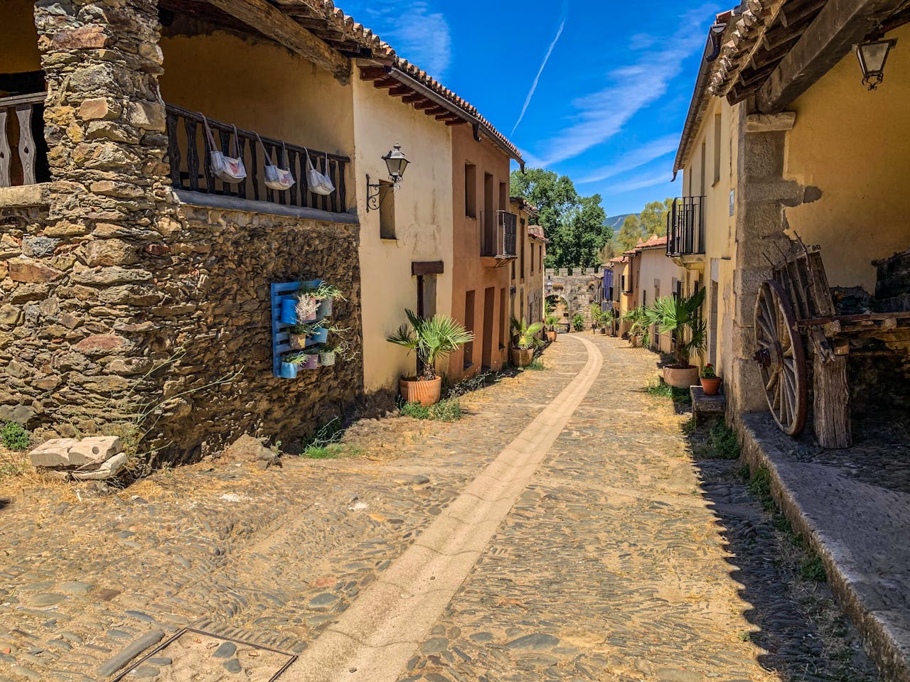 11 Ancestry Trip Revelations That Redefine Family History but Spark Real Regret