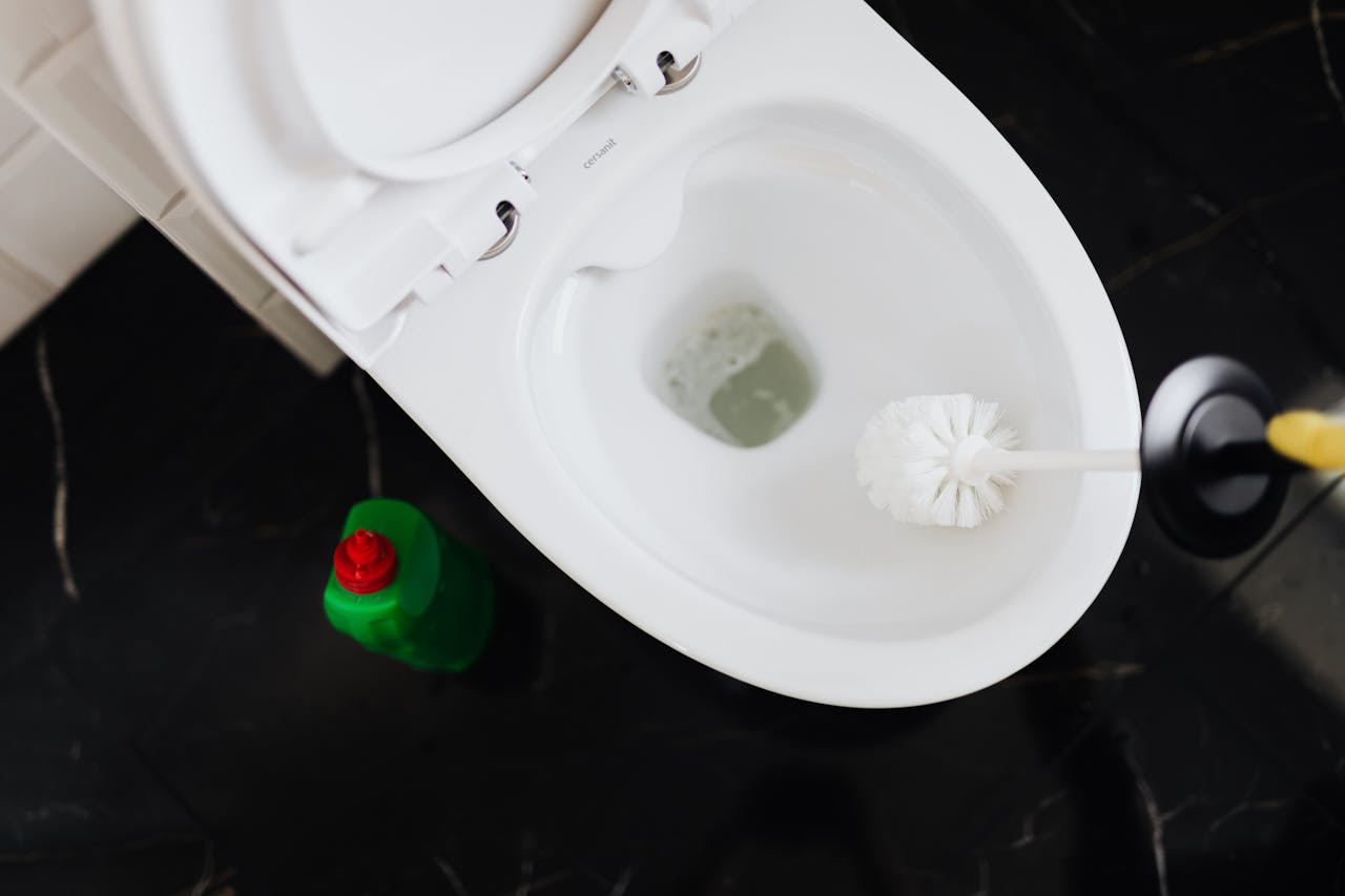 Toilet Bowls