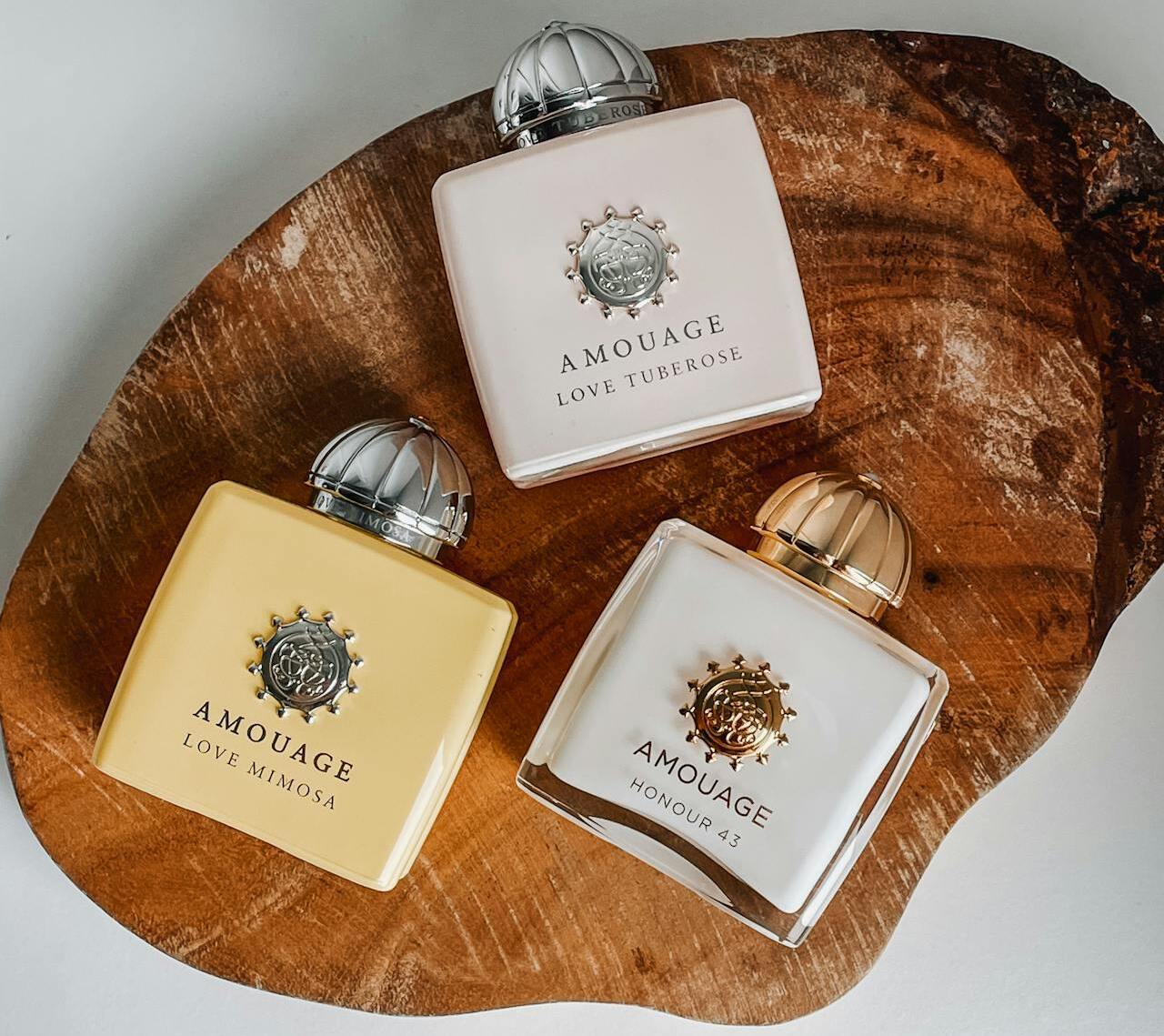 Know Your Scent Families 