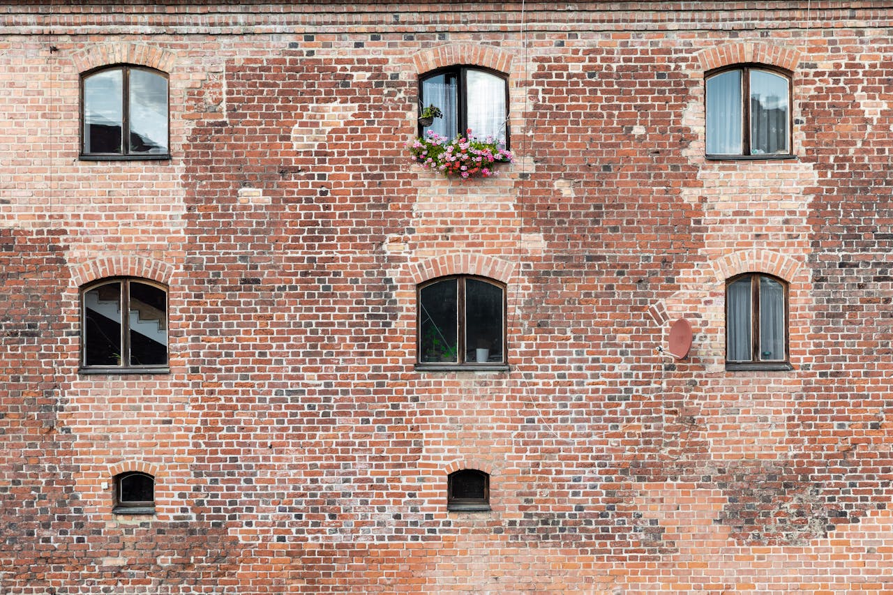 Windows With a “View” You Didn’t Expect