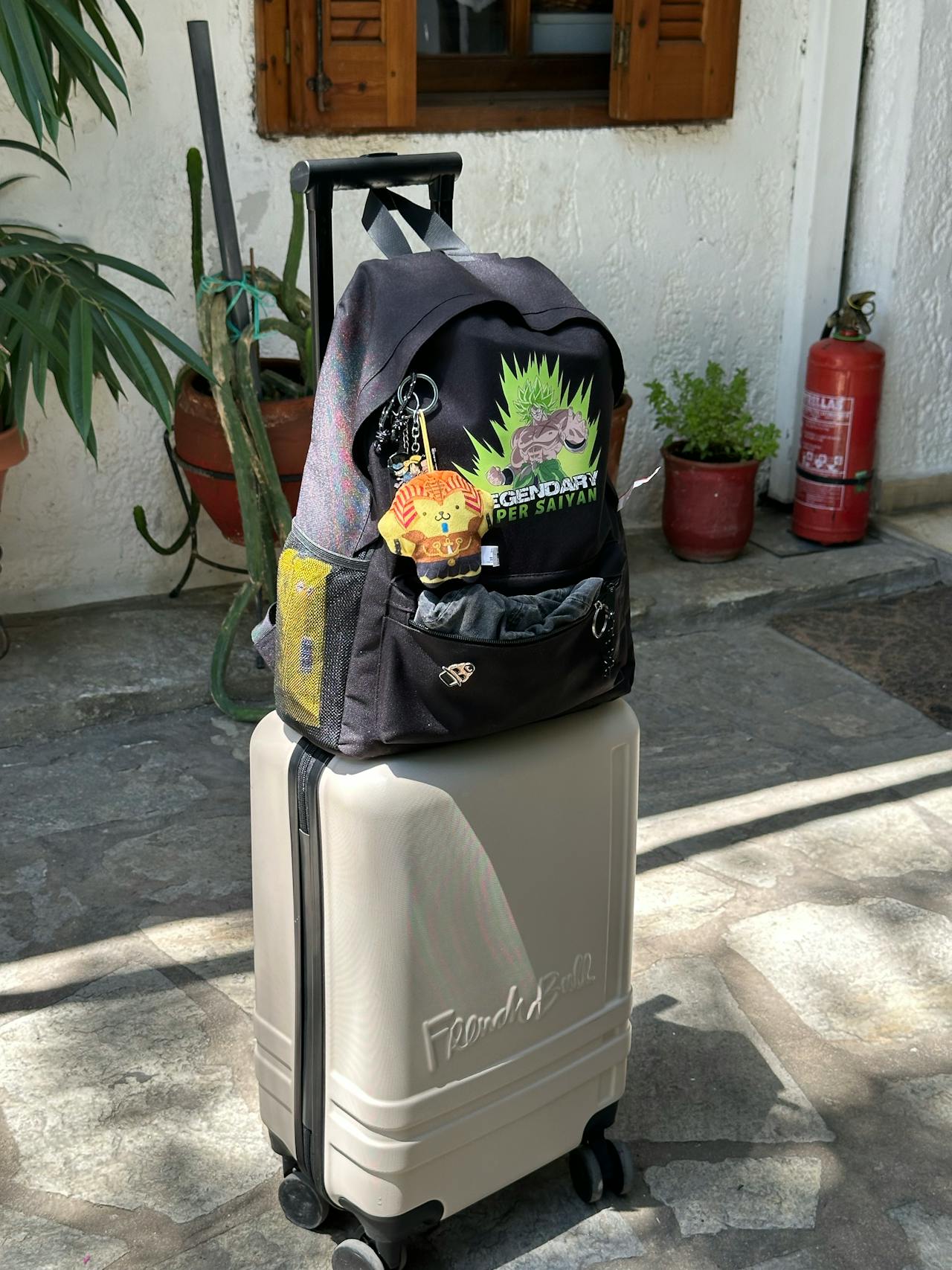 Overpacking Memorabilia That Never Gets Used