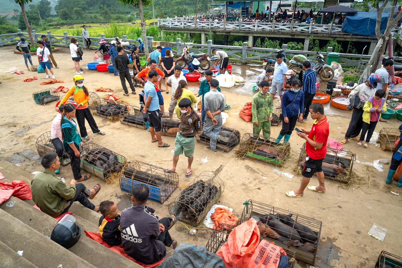 Cultural Distance Can Surprise You