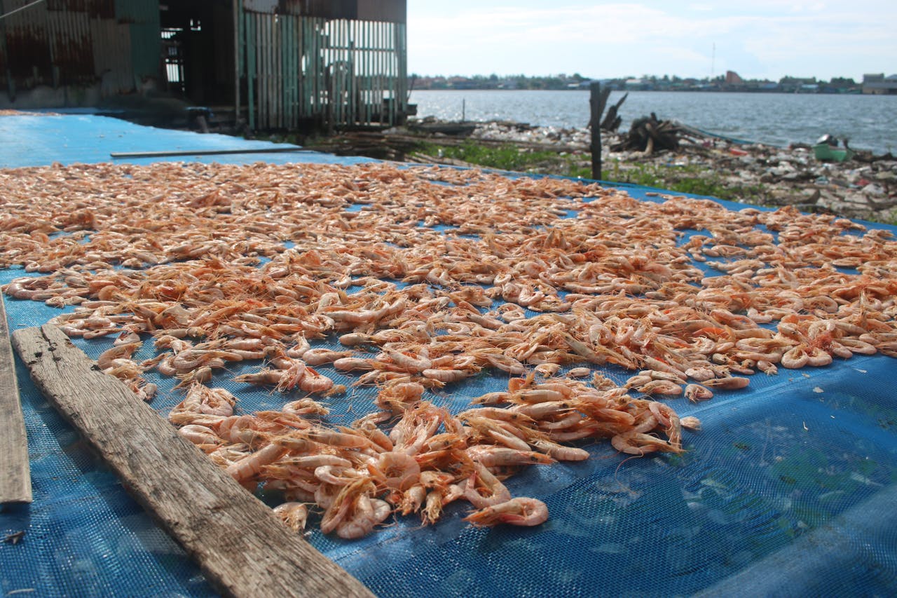 Signs Your Seafood May Be Unsafe to Eat