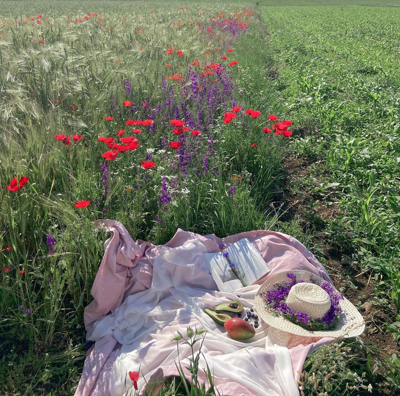 Picnic in a Wildflower Meadow