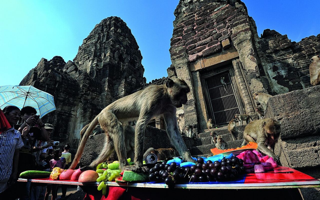 Monkey Buffet Festival: Lopburi’s Wild Feast