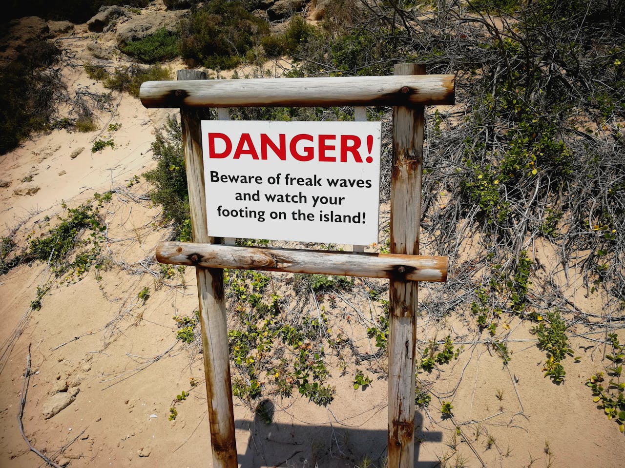 The Legal Consequences for Park Vandals