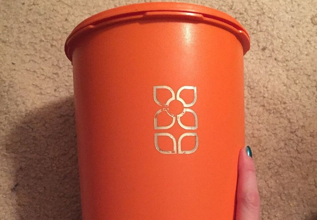 Tupperware That Keeps Its Seal