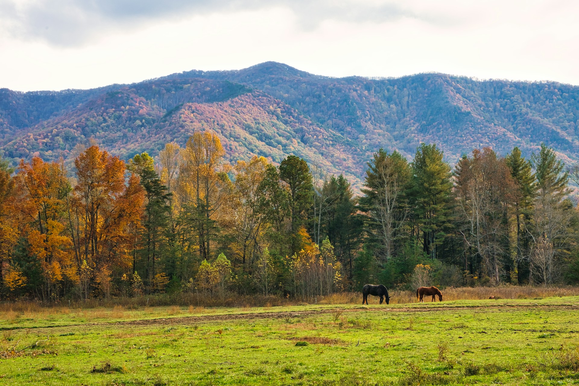 Great Smoky Mountains National Park